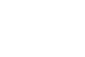 Cisco_Partner Partnering with VMWare